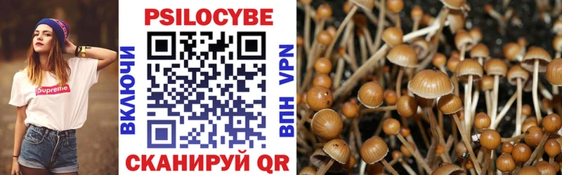 Псилоцибиновые грибы прущие грибы  Воронеж 
