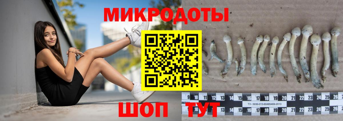 Галлюциногенные грибы прущие грибы Воронеж