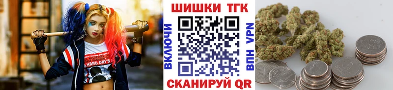 Бошки Шишки THC 21%  darknet Telegram  Воронеж  закладка 